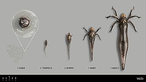 Tick stages concept art by Alex Ries