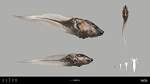 Tick stages concept art by Alex Ries