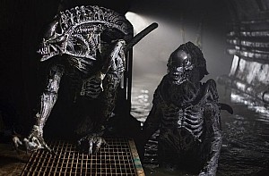 Aliens vs. Predator Images