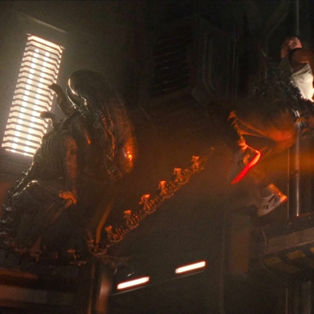 Alien: Romulus images