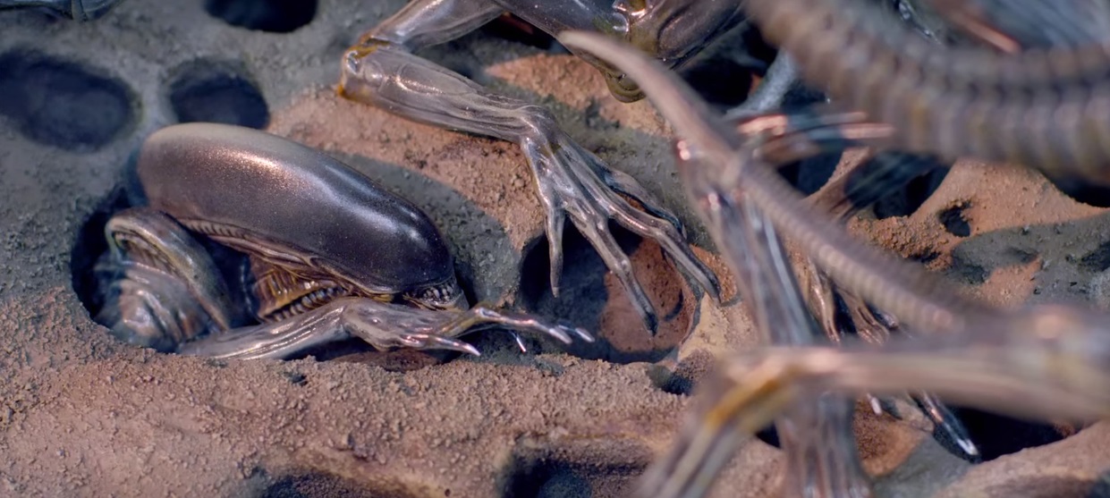Alien King and Drone Xenomorphs