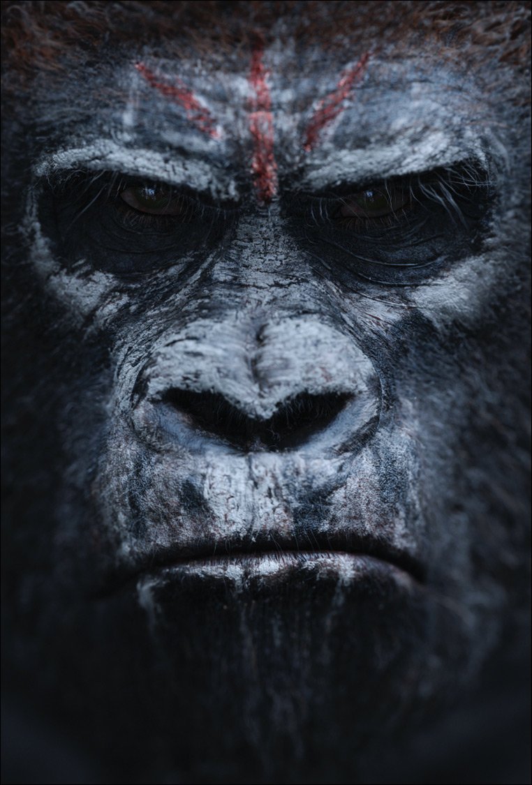 Dawn - Apes Tribal Posters