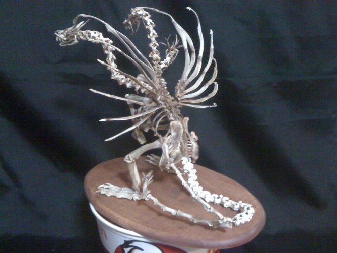 King Ghidorah sculpture made of KFC chicken bones 2