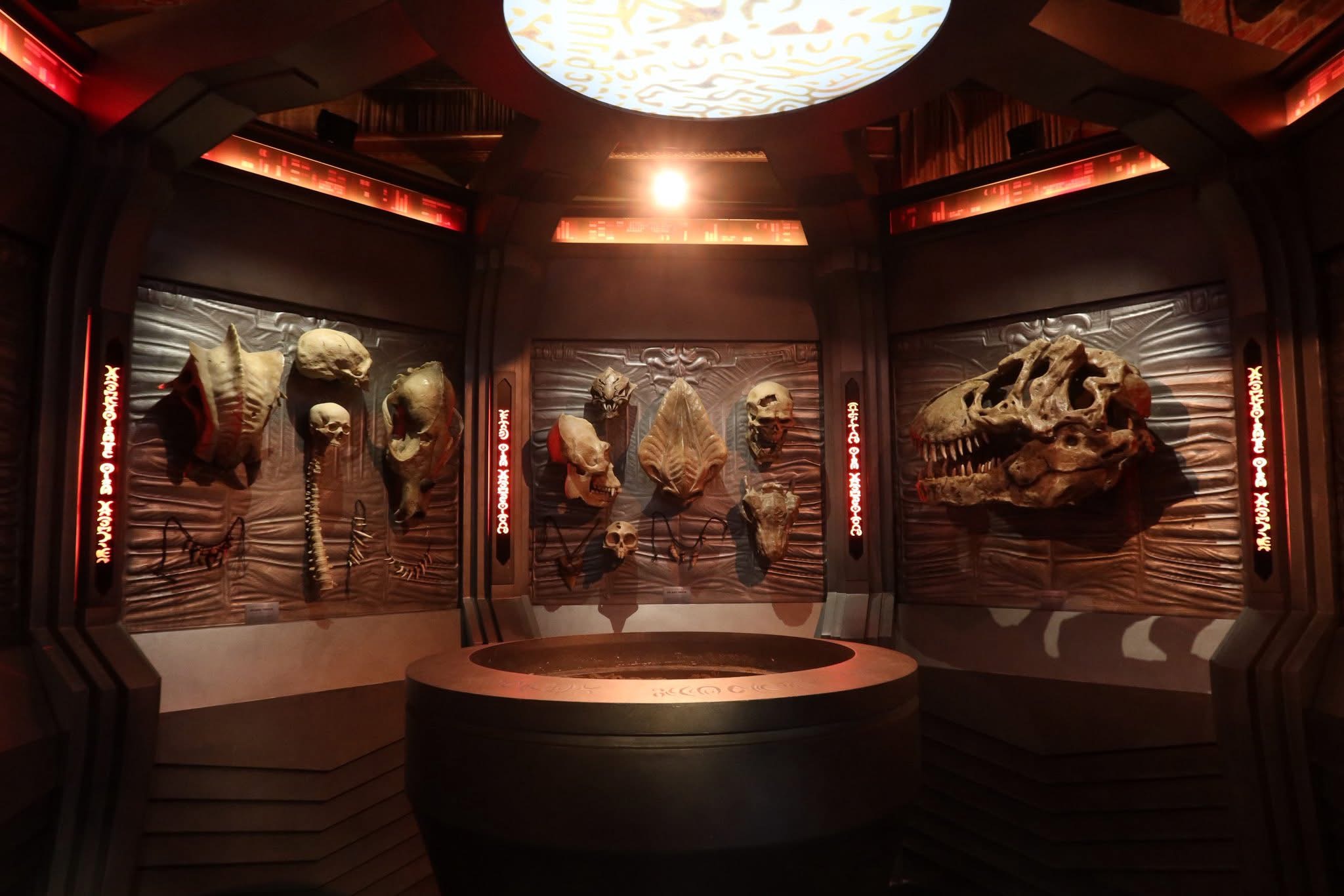Predator: Badlands images