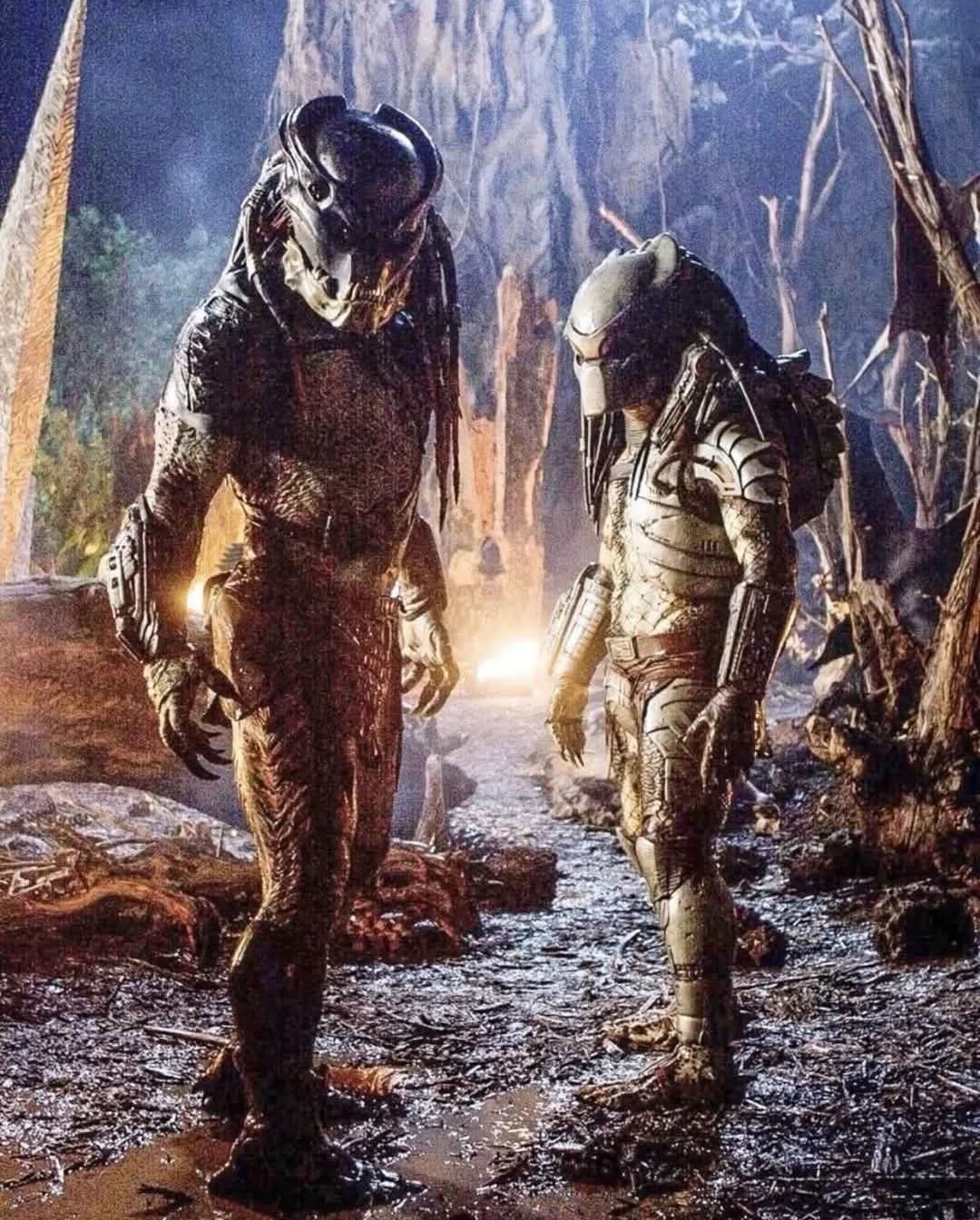 Predator Movie Images images