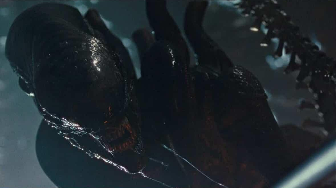 Alien: Romulus images