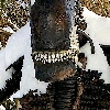 AlienMagician