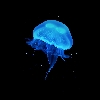 SpicyDragonJellyfish