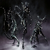 Assimilated_Xenomorph