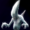 Xeno138