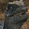 Braptor16