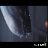 ALIEN:Xenomorph1979