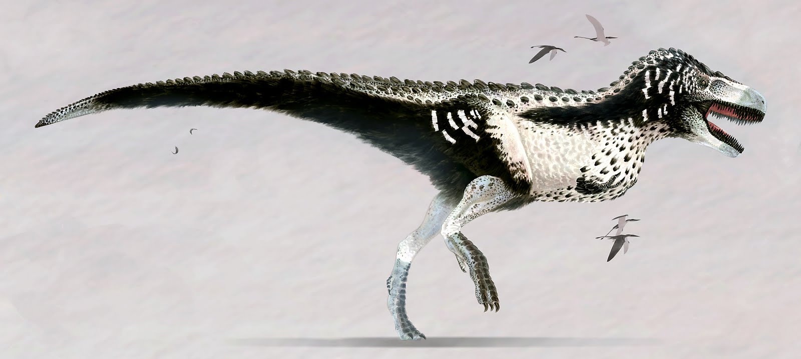 Pirahnodon