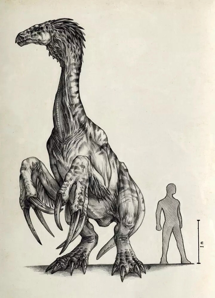 Troodon1