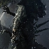 Craig Mercer 