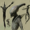 Brendalien 