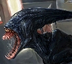 Nigma