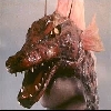 Chitanozaurusu
