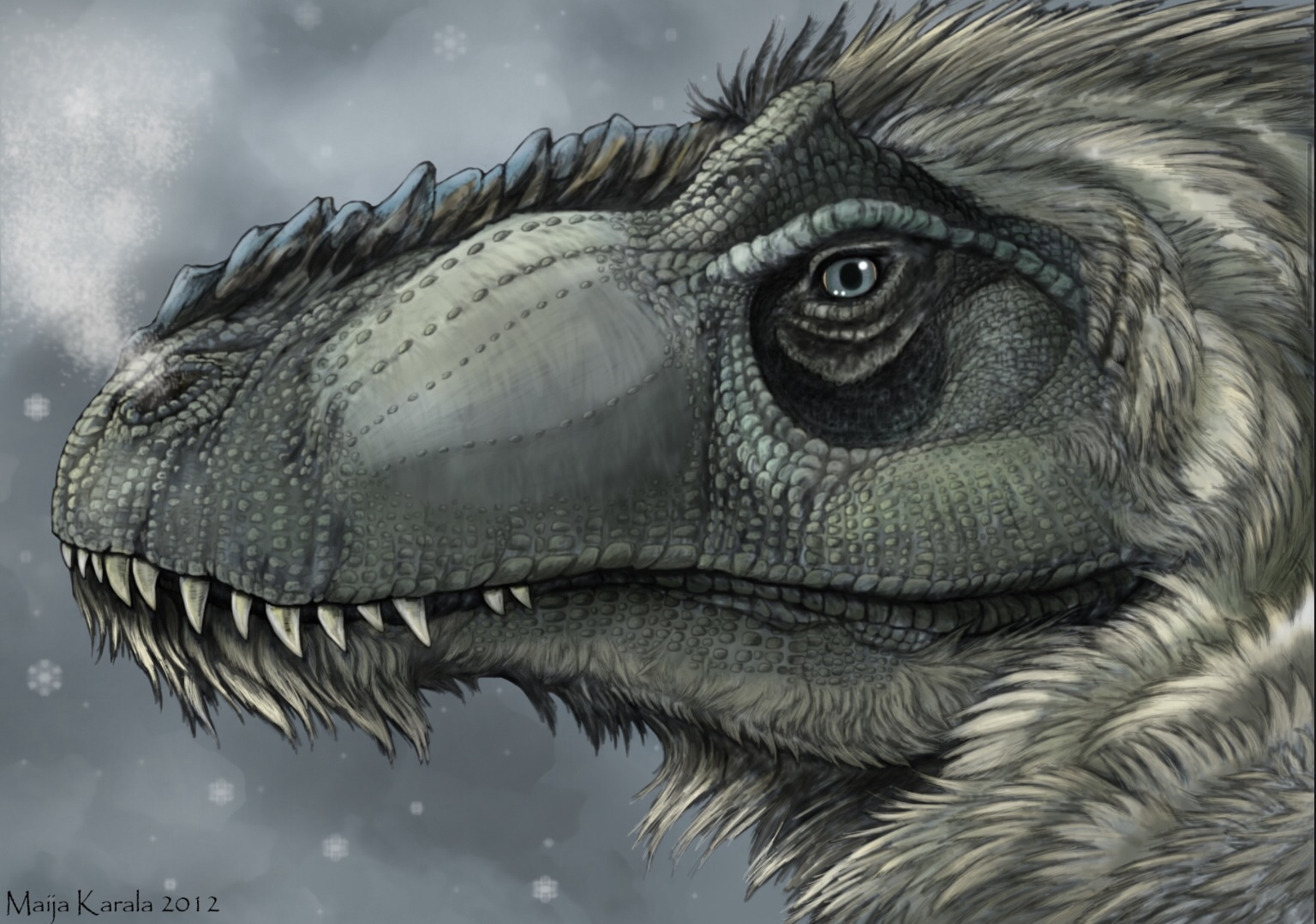 Yutyrannus huali