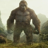 Fanzilla