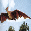 FireRodan93