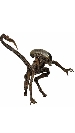 ObdewlX