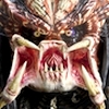 Predator_Spirit