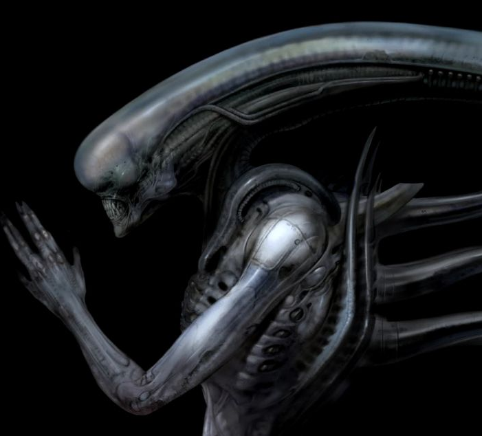 Xeno24
