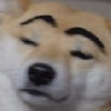 Mooferz
