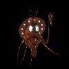 AmoebaGuy