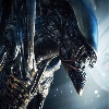 O.G. Xeno