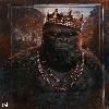 kongfan23