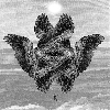 Coronus