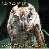 DarkRaven574