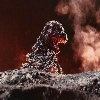 Godzilla's biggest fan! Profile
