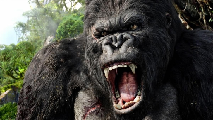Kong: Skull Island will be spectacular and epic according to Tom Hiddleston!