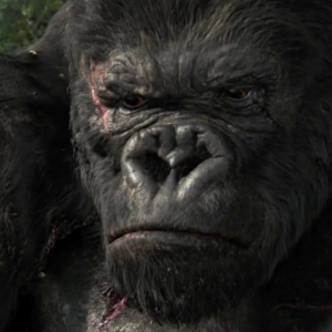Kong: Skull Island to be an adaptation of Kong: King of Skull Island?