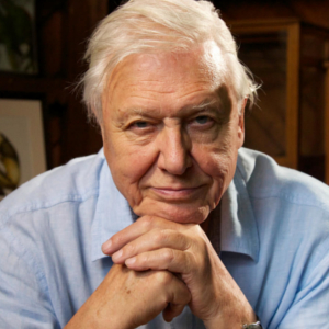 Sir David Attenborough meets a Titanosaur in 360 degrees!