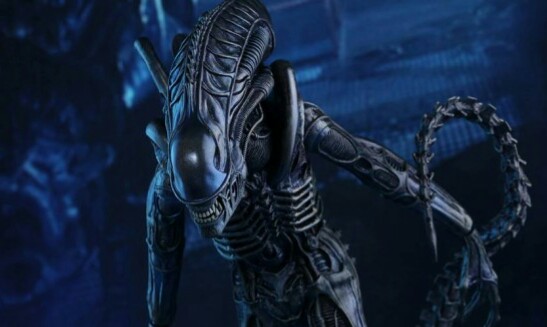 Game over man! Hot Toys are releasing a new Alien Warrior figure for Alien Day! 