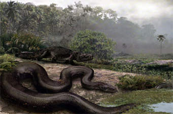 Deinosuchus Vs. Titanoboa