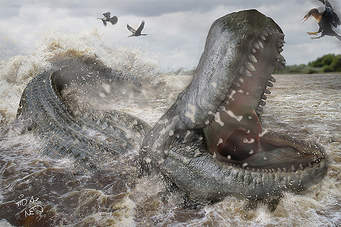 Purussaurus Vs. Rhamphosuchus