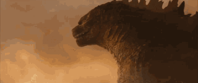 Image for the topic: How Would I Change Godzilla: King of The Monsters (2019)?