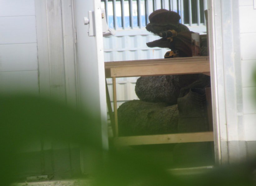 Dilophosaurus is coming back to Jurassic World: Fallen Kingdom!!