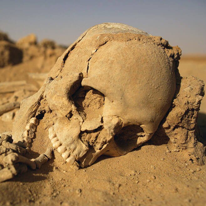 Extinction Event: Can we survive the next Cataclysm?