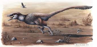 Dakotaraptor Vs. Utahraptor (EDB Season 2 Part.1)