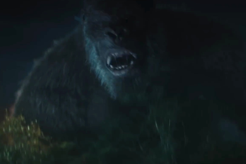 Image for the topic: What do fans think of the first Legacy of Monsters Season 2 trailer?