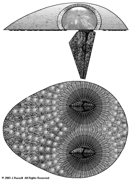 Does the Colony MotherShip link to the underbelly of the Havester as the City Destroyers did to the Colony MotherShip?