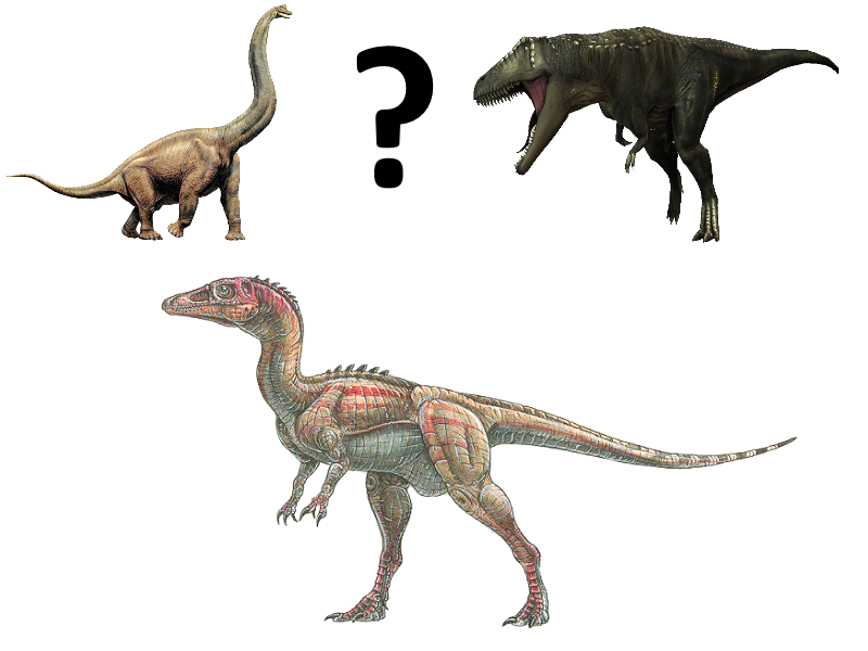 Eoraptor: Sauropodomorph or Theropod?