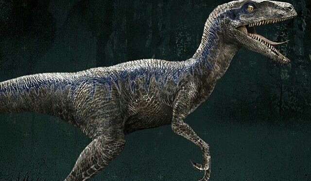 Velociraptor Awareness