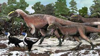 Yutyrannus Vs. Yangchuanosaurus (EDB Season 2 Part.3)